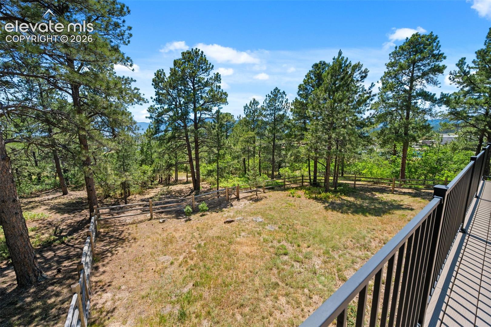 Expansive outdoor space featuring mature pine trees, a natural landscape, and a wooden fence