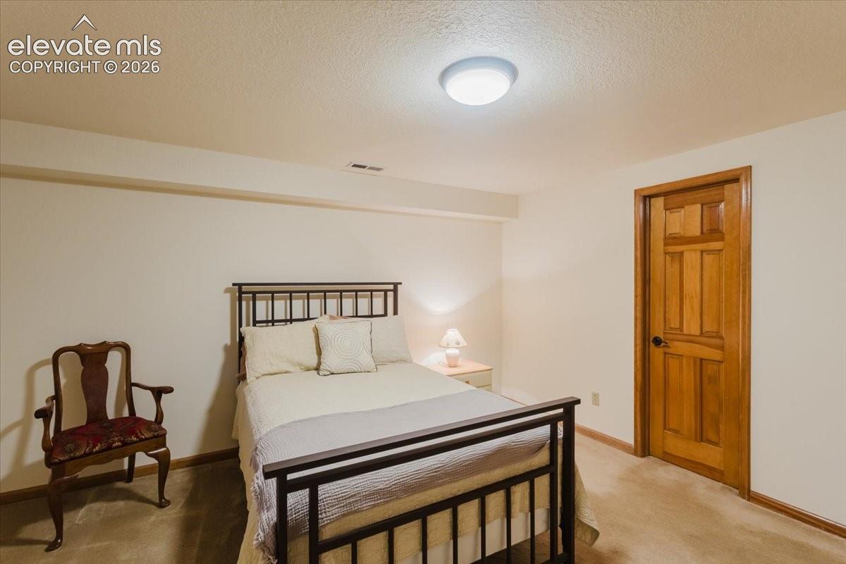 Light-colored carpeted flooring extends throughout this room, featuring light tan painted walls and a solid wood paneled door with dark hardware