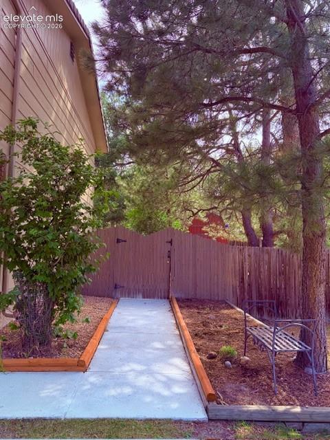 Concrete walkway from front of the house to the backyard
