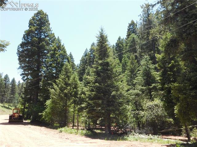 Photo 11 of 13175 Spruce Creek Circle, Larkspur