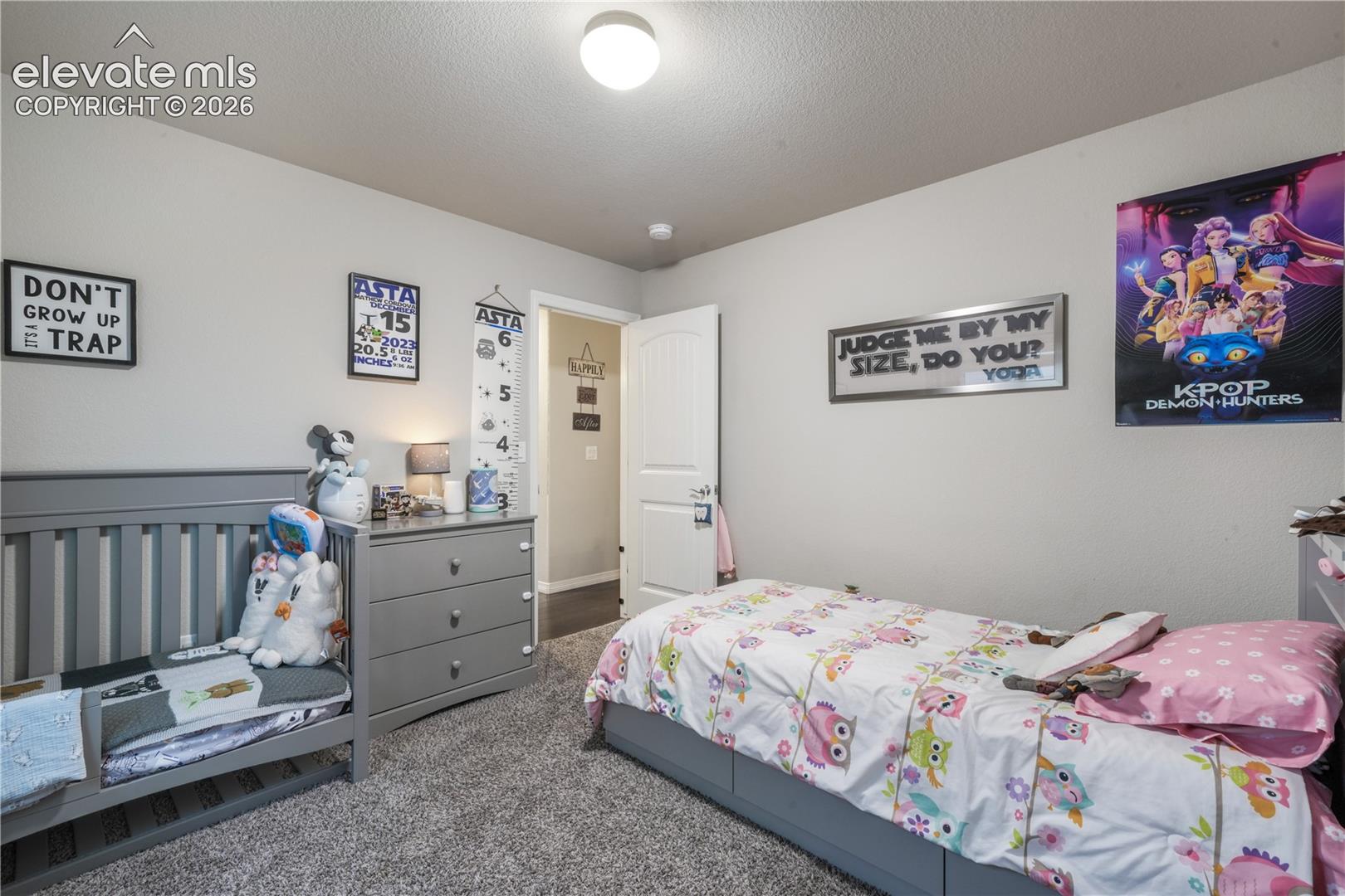 Wall-to-wall carpeting with light gray wall paint