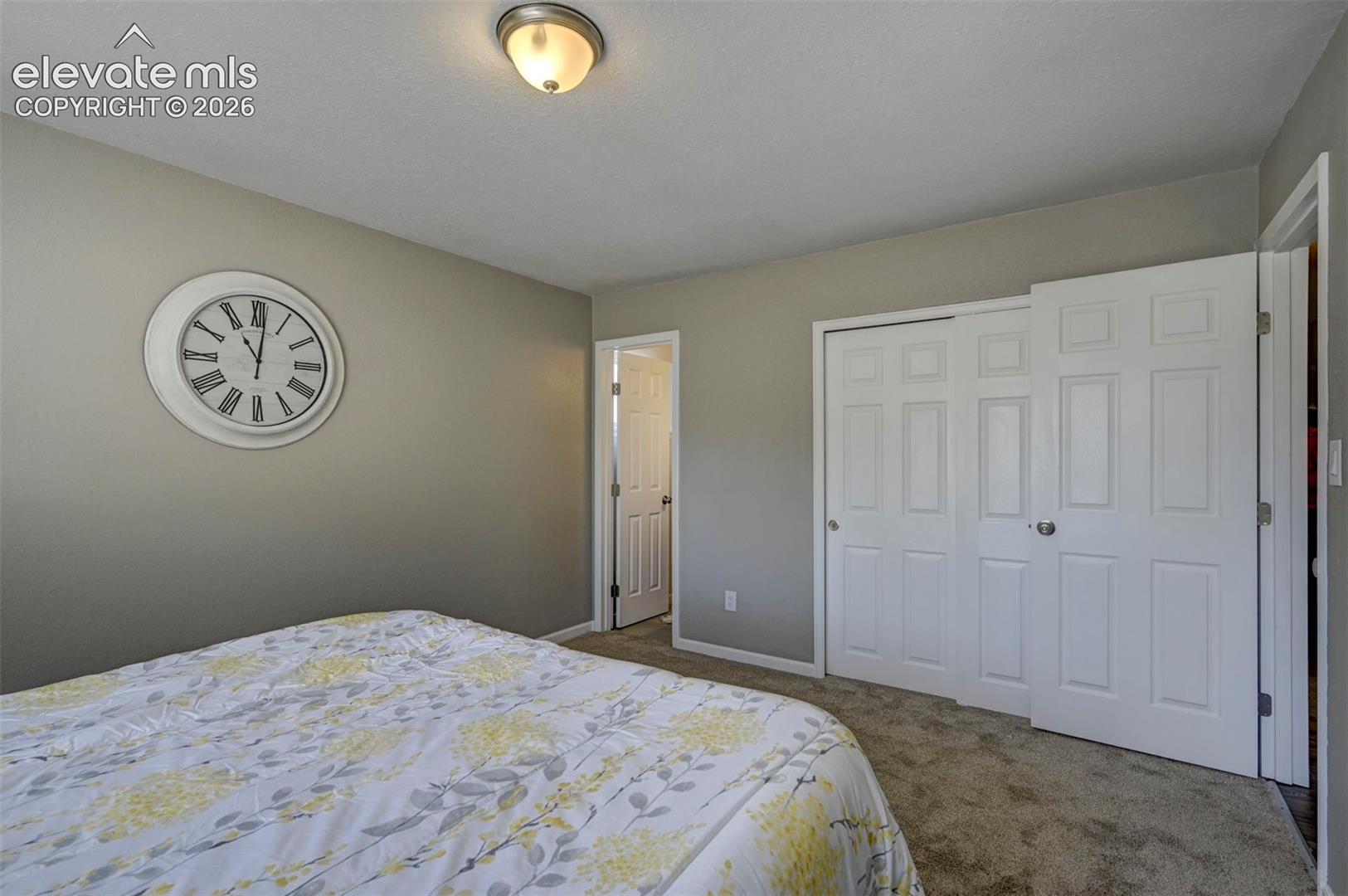 Neutral-toned interior featuring wall-to-wall carpeting, white six-panel closet doors, and a flush-mount ceiling light fixture