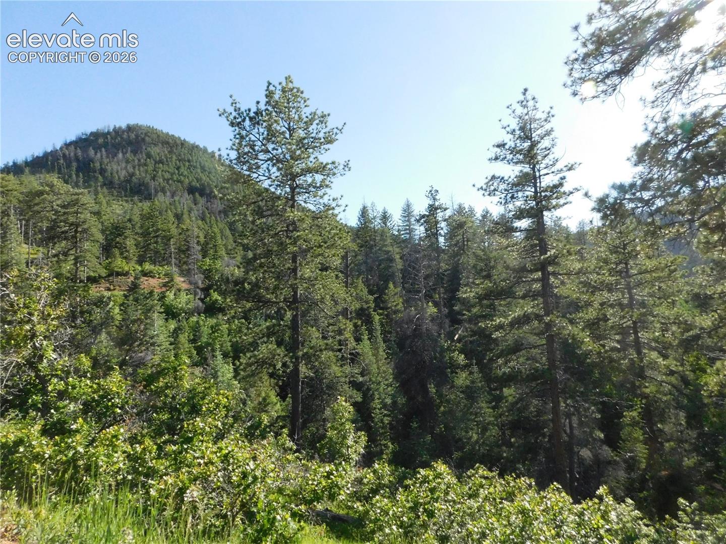 Photo 27 of Lot 11 Cheyenne Drive, Larkspur
