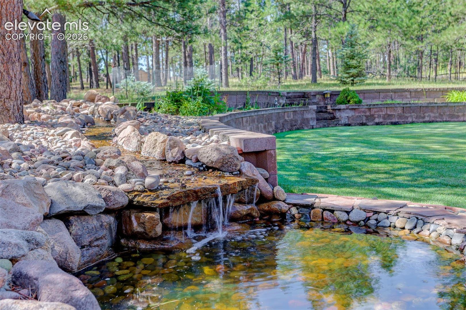 Water feature in back yard.