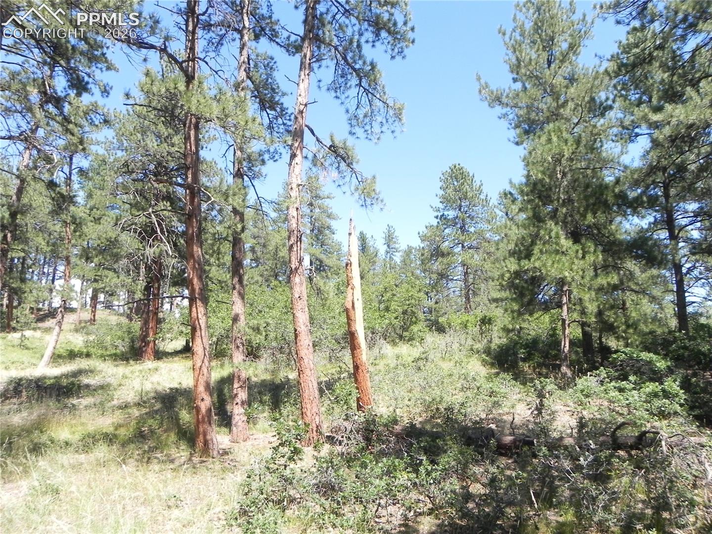 Photo 23 of 4144 Cheyenne Drive, Larkspur