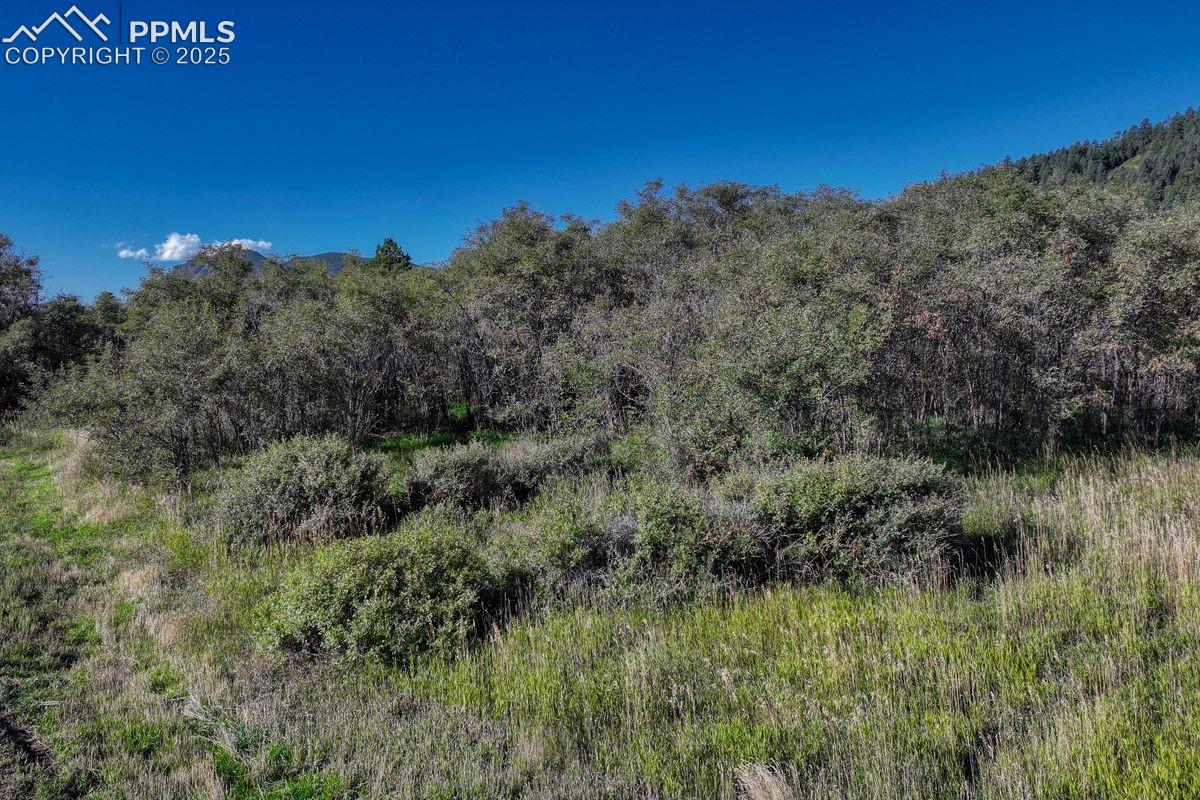 Photo 10 of 15989 S Perry Park Road, Larkspur