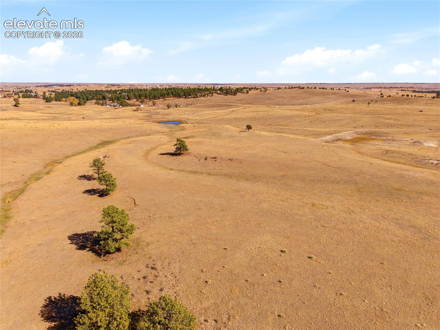 Expansive acreage featuring rolling topography, native grasses, scattered pine clusters, and open horizons
