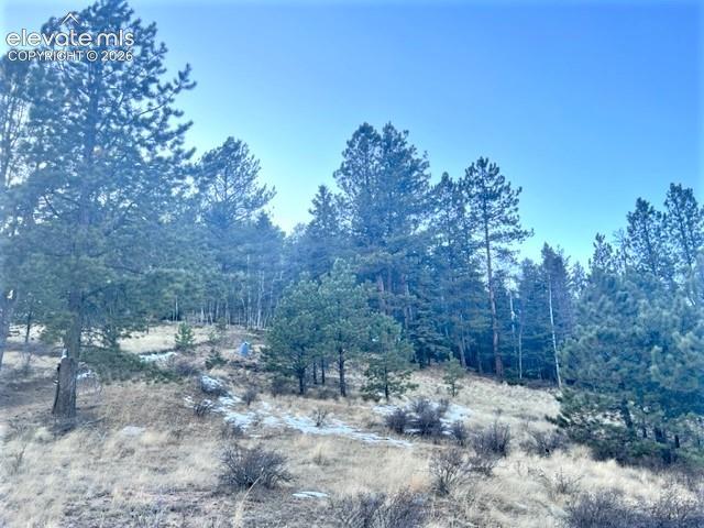 233 Rabbil Creek Trl, Florissant, CO 80816
