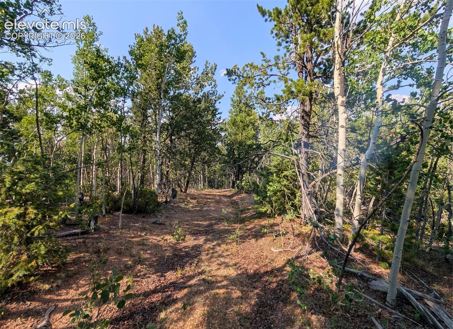 Photo 16 of Fairview Drive, Cripple Creek