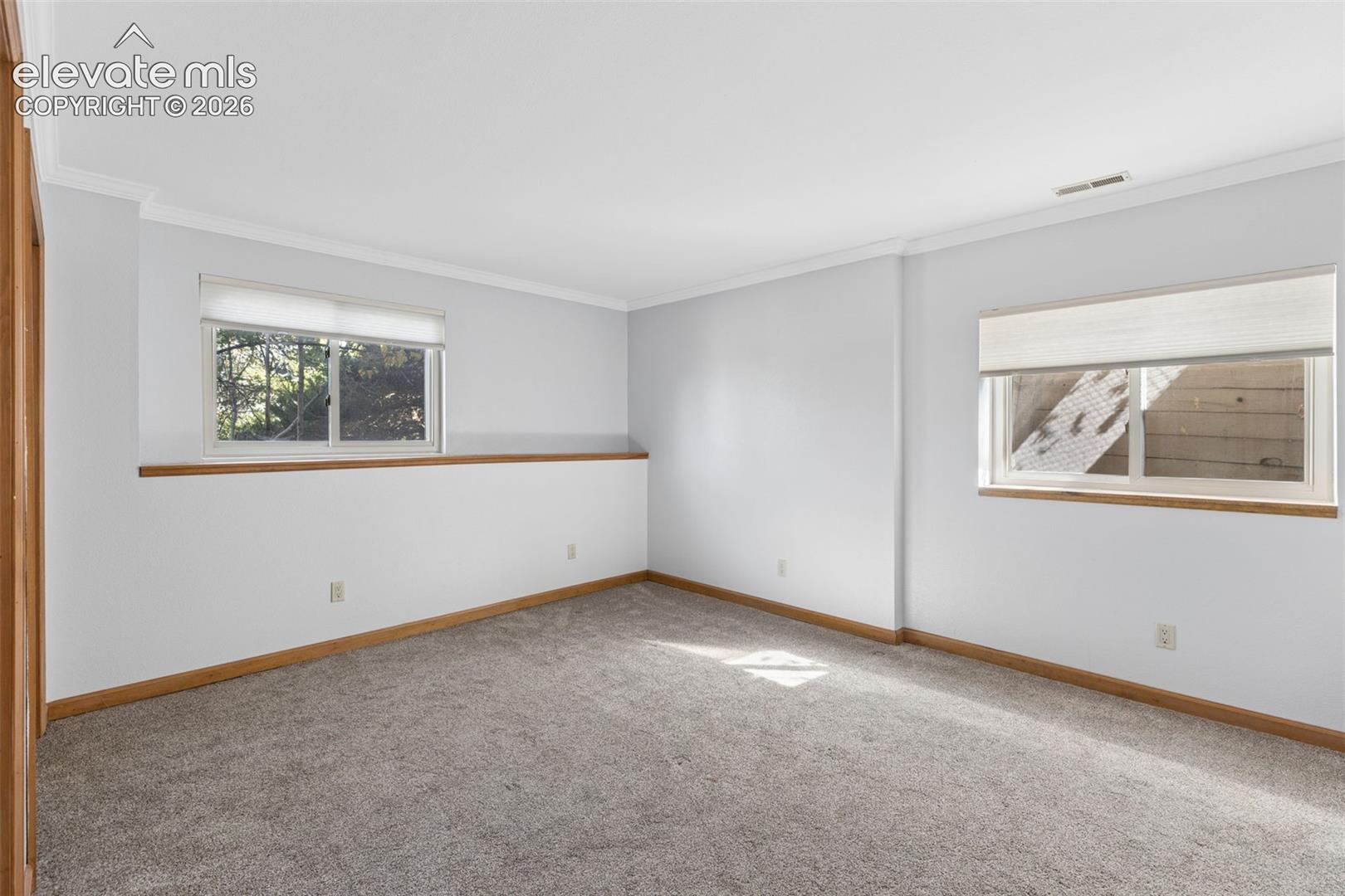 Neutral wall finish, wall-to-wall carpeting, crown molding, and dual sliding windows with wooden trim