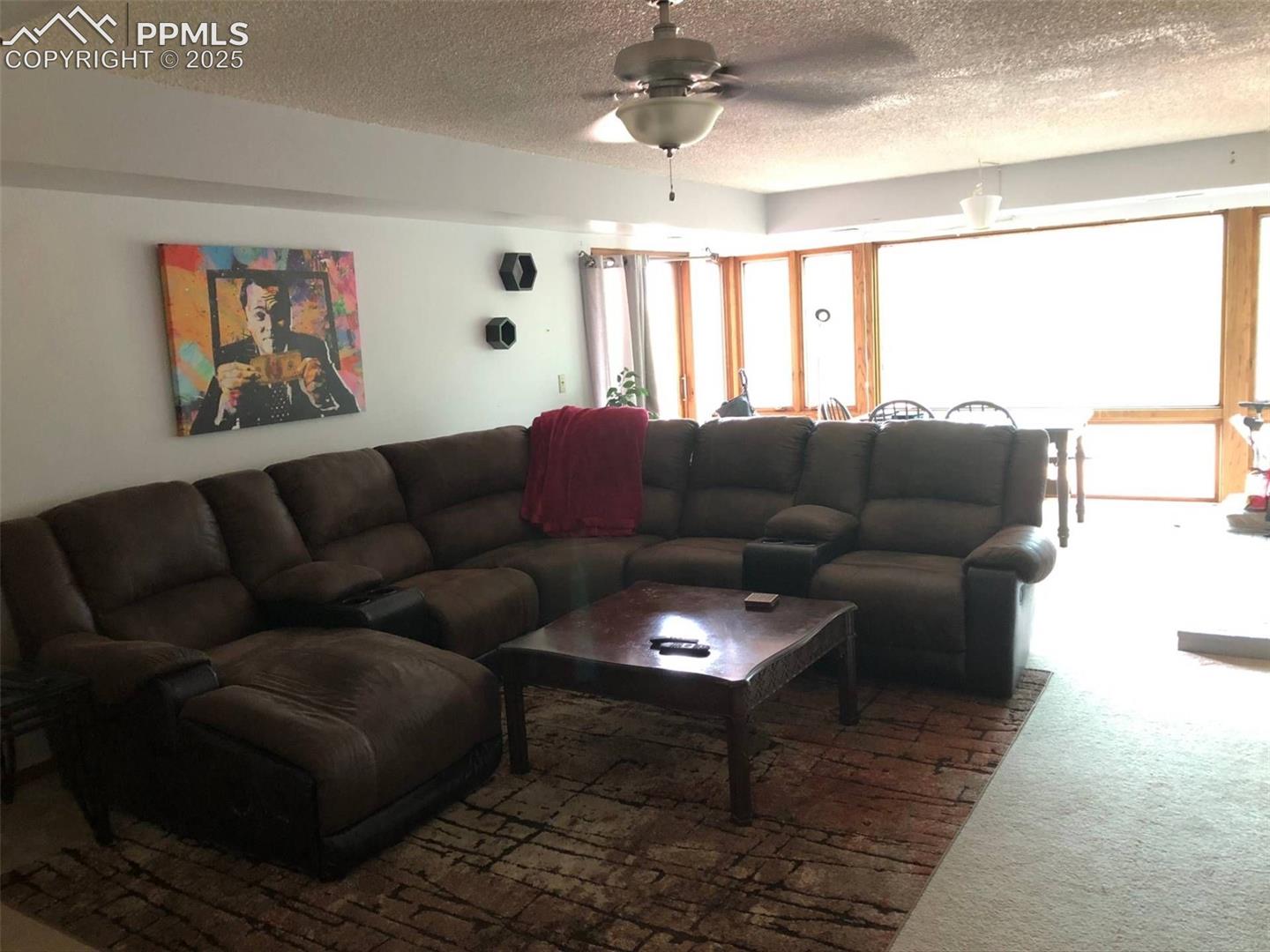 Open living room w/great natural lighting 