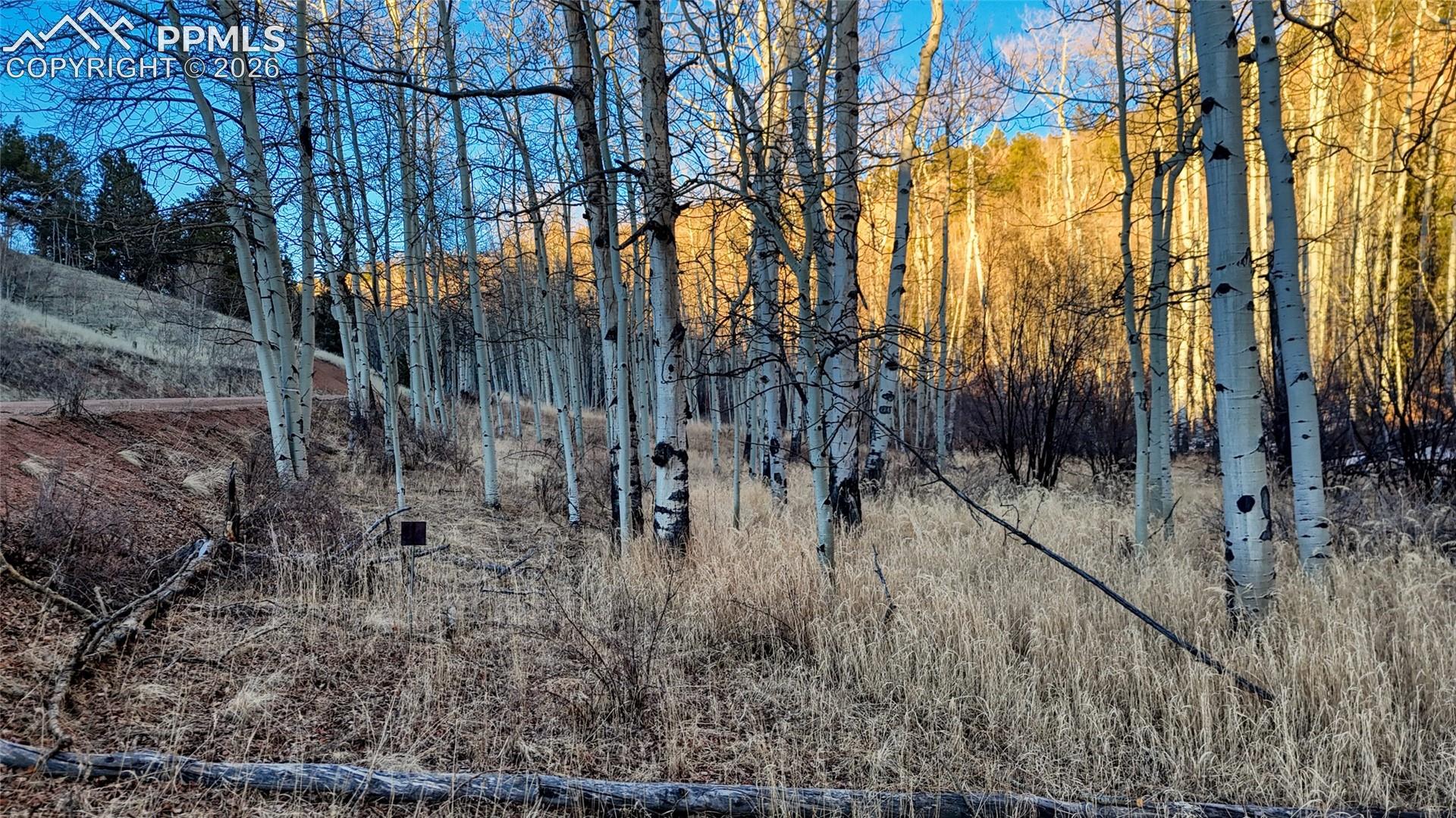 Photo 12 of 524 Buckhorn Road, Cripple Creek