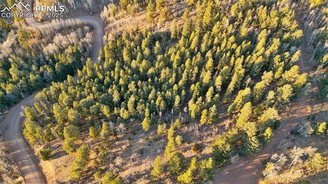 Photo 7 of 1289 Yorktown Road, Cripple Creek