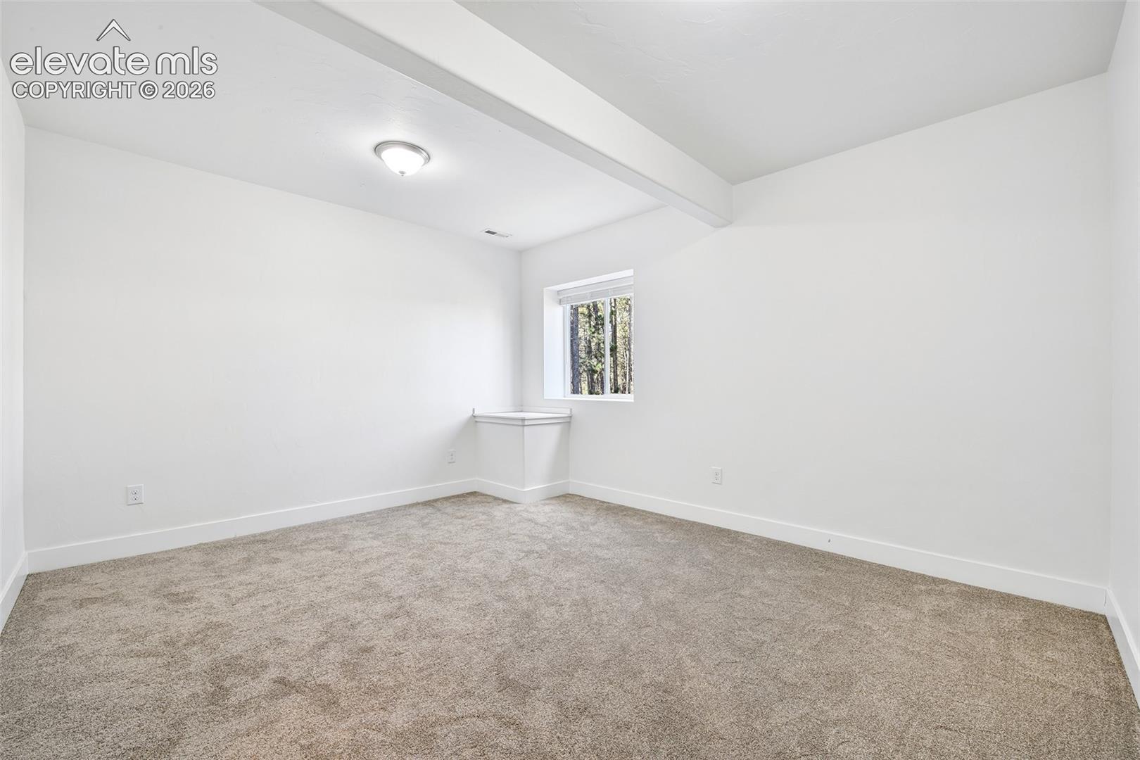 Roomy lower level 3rd bedroom with new carpet and walk-in closet