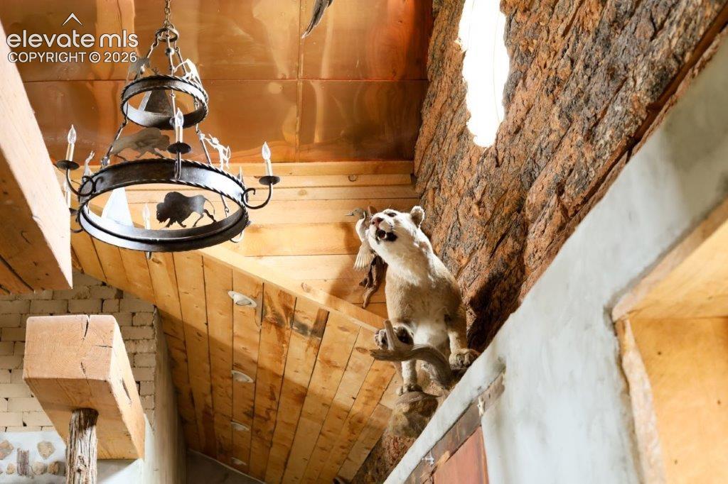 Vaulted wood-paneled, copper plated ceiling with exposed wood beams and a decorative iron chandelier