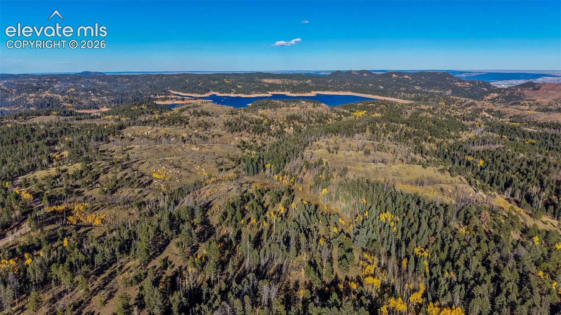 Expansive acreage featuring dense evergreen forest, mature deciduous trees, rolling topography, and regional lake scenery
