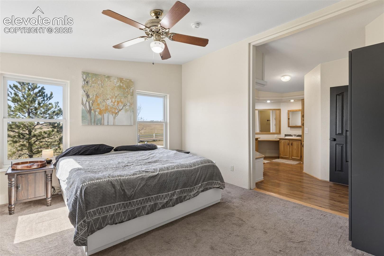 Room featuring carpeting, dual windows, a ceiling fan with integrated lighting, and wood-finish flooring extending into a secondary space with built-in wooden cabinetry and a black paneled door