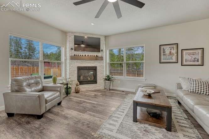 110 Chester Ave, Woodland Park, CO 80863