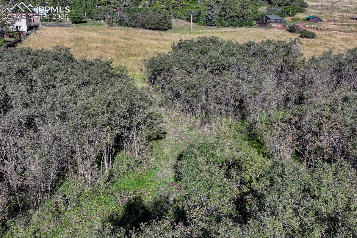 Photo 15 of 15989 S Perry Park Road, Larkspur