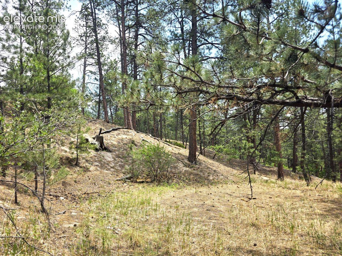Photo 26 of 4465 Leprechaun Lane, Colorado Springs