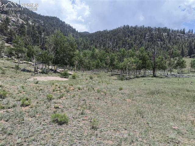 View of mountain backdrop featuring a heavily wooded area