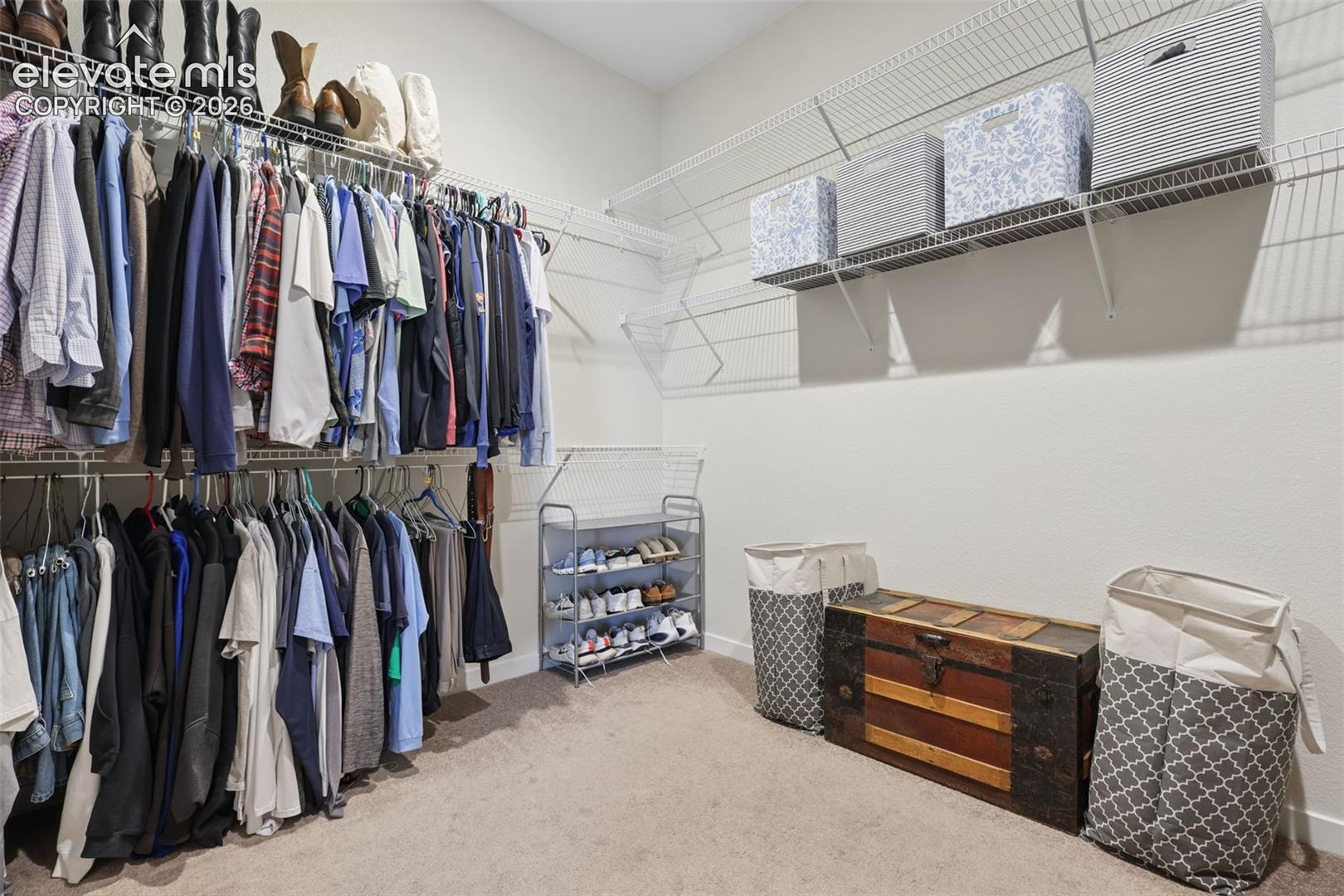 Expansive walk-in closet featuring wire shelving, multiple hanging rods, and neutral-toned carpeting