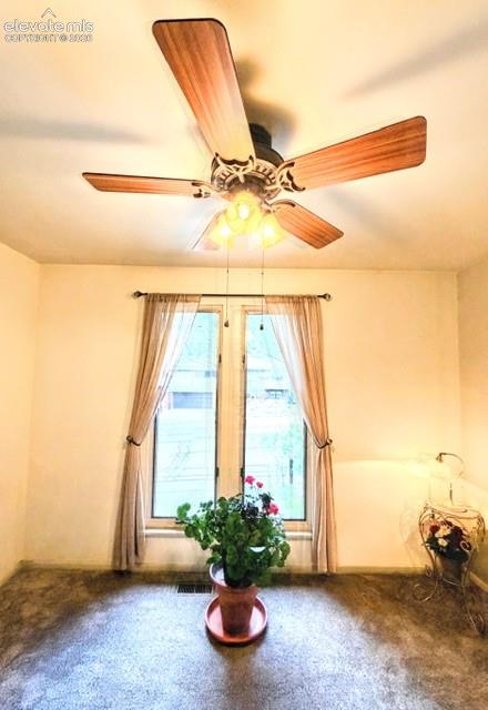 Large Windows

