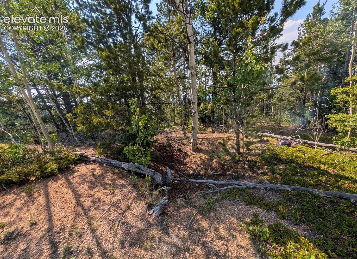 Photo 17 of Fairview Drive, Cripple Creek