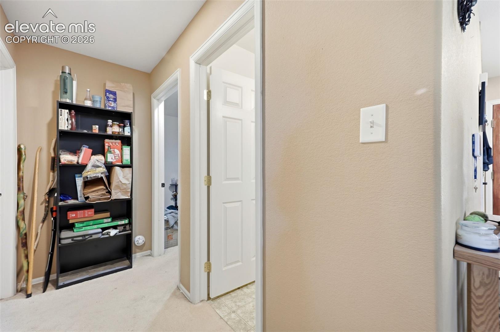 Hallway featuring light-toned walls, white trim, and carpet flooring