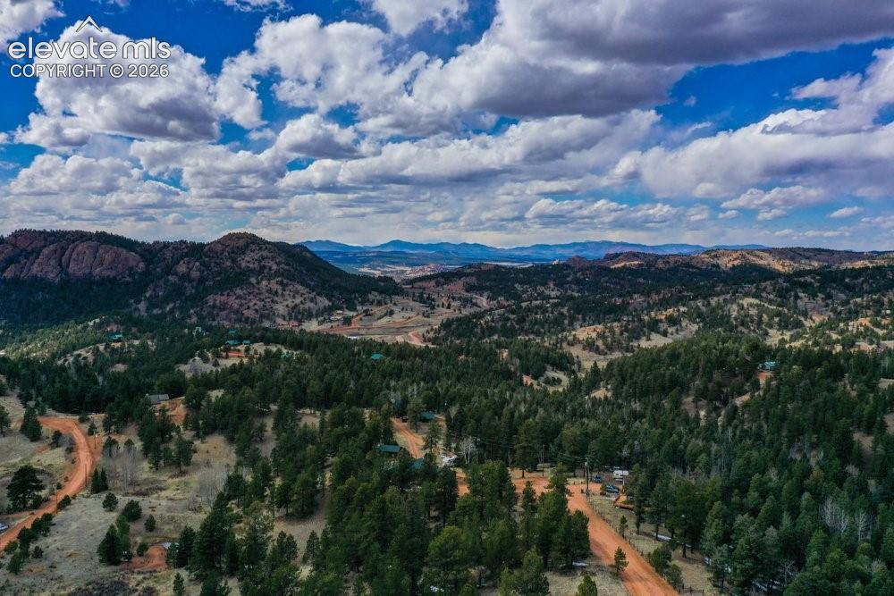 Property view of mountains with a forest view