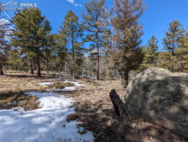 Photo 6 of 1620 Park Ridge Drive, Guffey