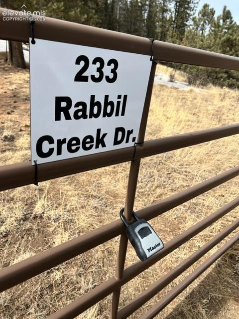 233 Rabbil Creek Trl, Florissant, CO 80816