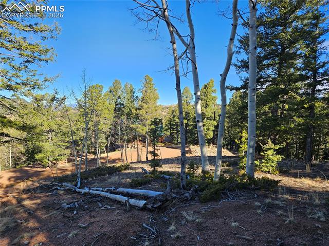 Photo 18 of 652 Derby Drive, Cripple Creek