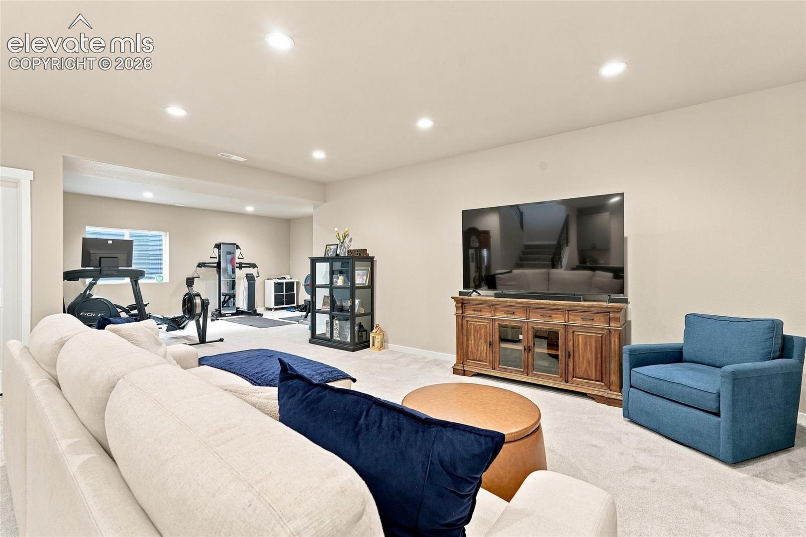 Basement Living Room