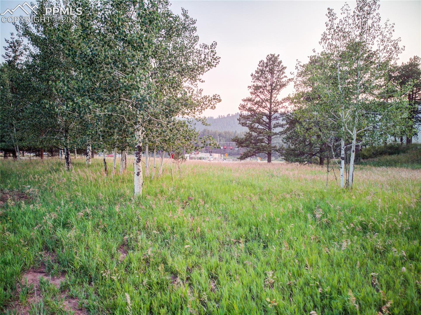19569 Highway 24 , Woodland Park, CO 80863