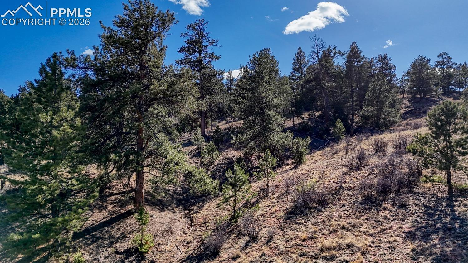 Photo 10 of Lot 5124 Arikara Trail, Hartsel