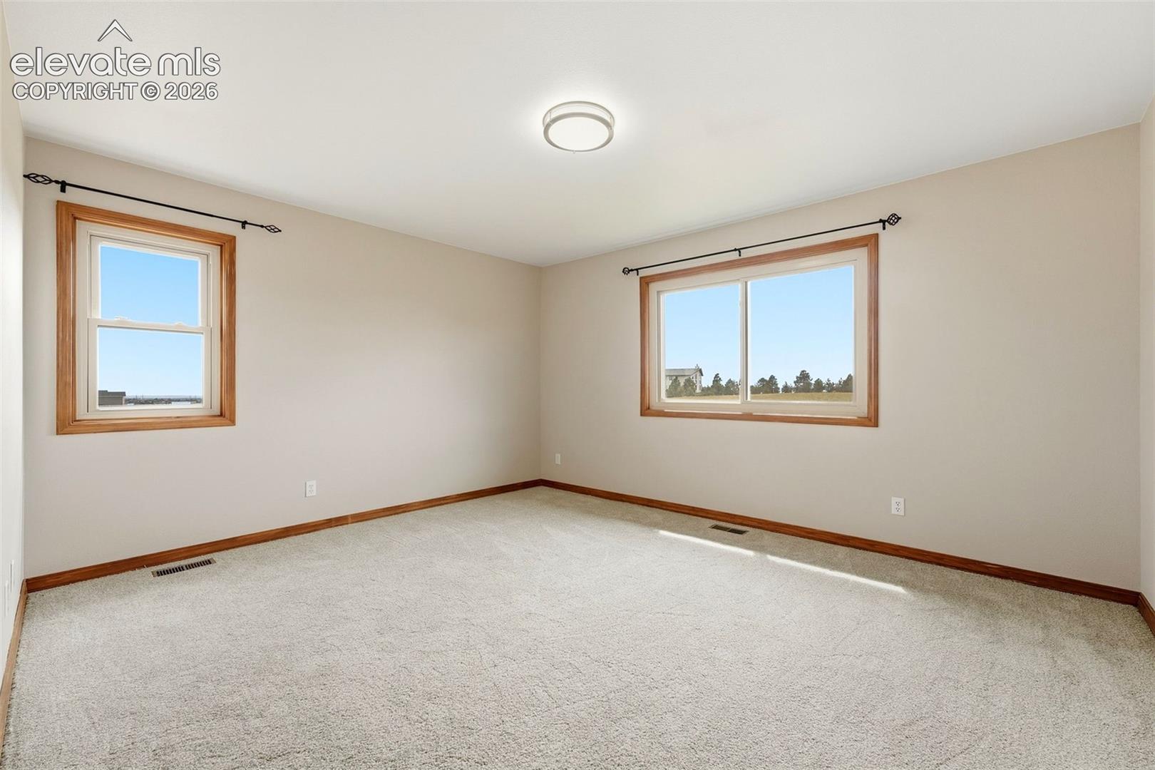 Light-colored carpeting, two windows with wood-finish trim, and a ceiling-mounted light fixture