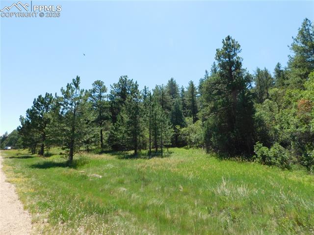 Photo 23 of 4668 Comanche Drive, Larkspur