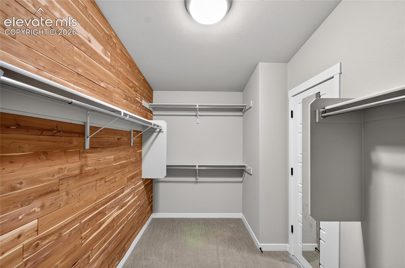 Spacious walk-in closet featuring a cedar accent wall, multiple shelving units, clothing rods, and a ceiling-mounted light fixture
