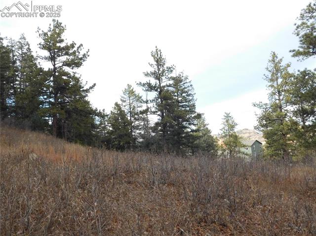 Photo 26 of 8055 Acoma Drive, Larkspur