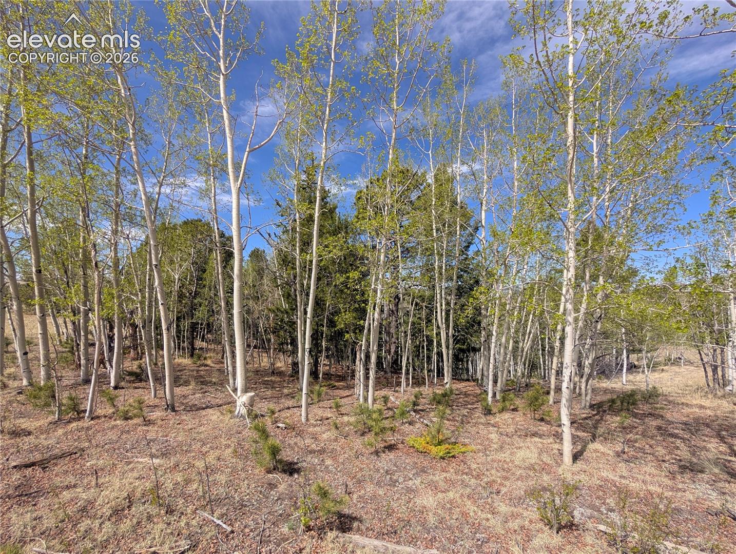 Photo 10 of 905 May Queen Drive, Cripple Creek
