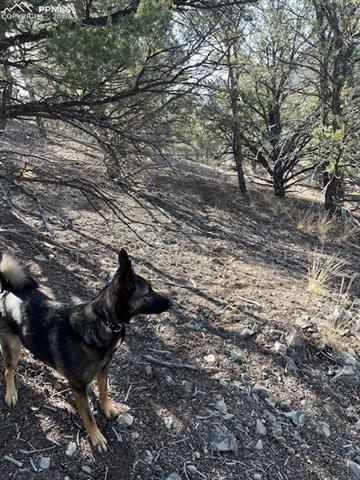 Photo 9 of Lot 17 S Dunn Drive, Canon City