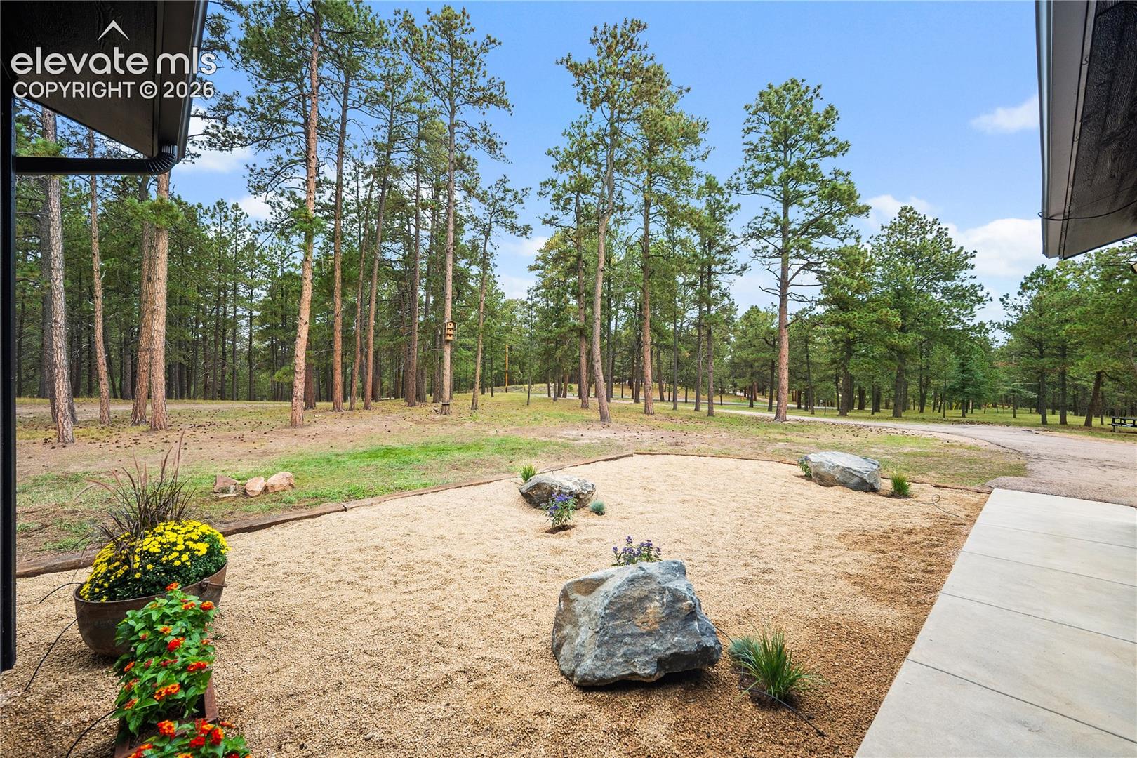 Exterior grounds featuring a concrete patio, decorative gravel landscape, large natural stone accents, and a wooded backdrop with mature pine trees