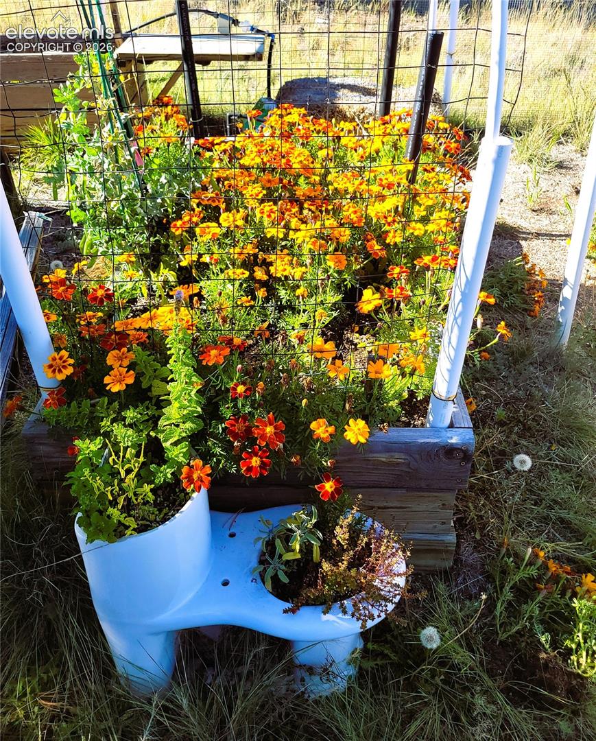 Raised garden bed featuring vibrant flowering plants and integrated wire fencing