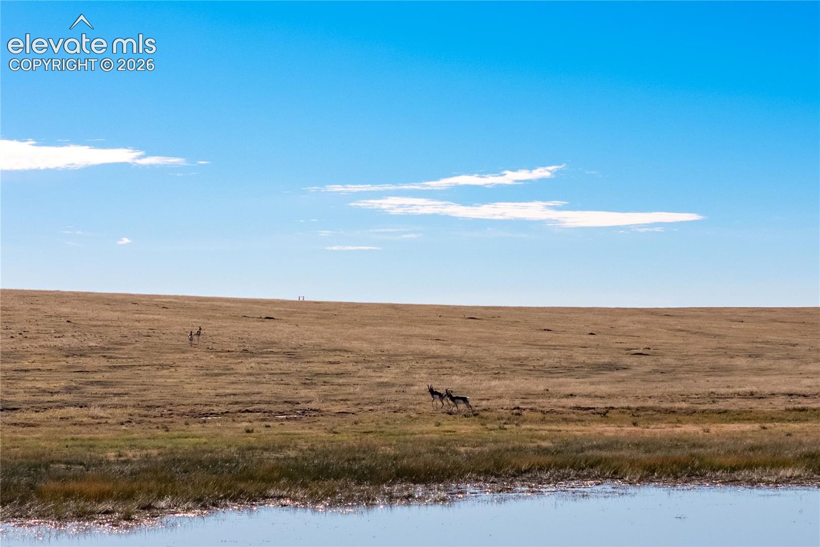 Expansive acreage featuring rolling terrain, natural grassland, and a pond