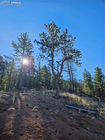 Photo 23 of 652 Derby Drive, Cripple Creek