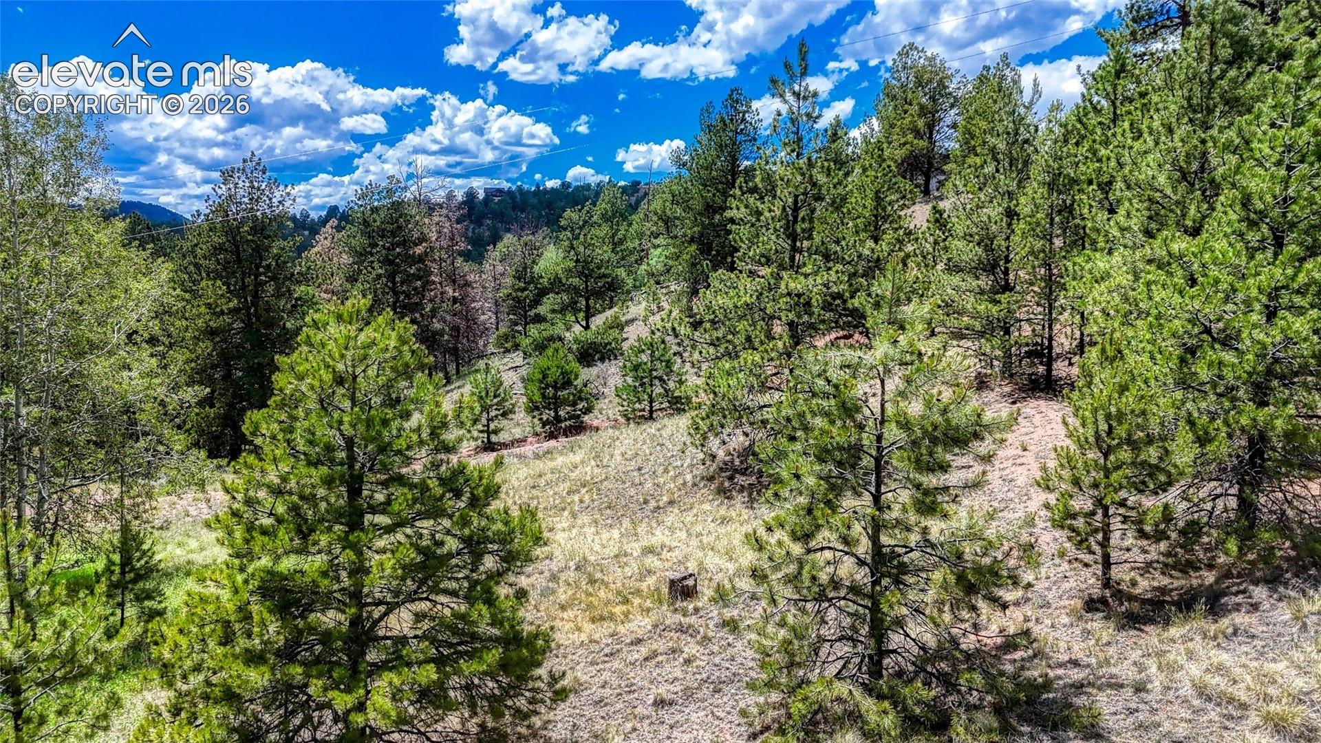 Photo 7 of 218 Princess Road, Cripple Creek