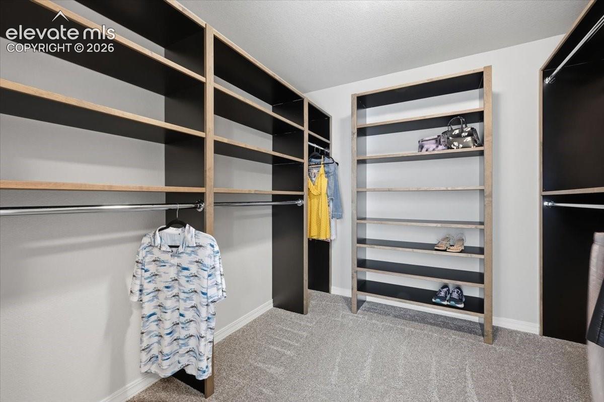 Walk-in closet featuring floor-to-ceiling built-in shelving with wood-tone edges, black cabinet interiors, and integrated metal clothing rods