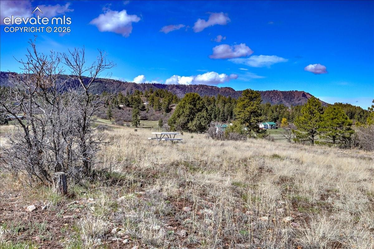 Photo 25 of 1234 Scenic Avenue, Pagosa Springs