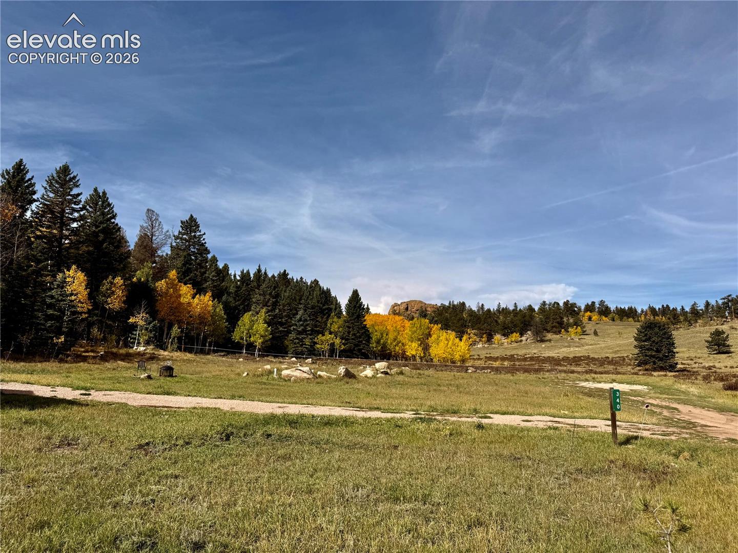 Expansive natural terrain featuring a mix of evergreen and deciduous trees, with a visible dirt pathway